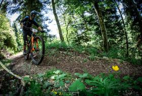 Ardbike Enduro