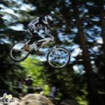 Championnat de France de VTT, résultats