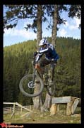 Bike park en automne