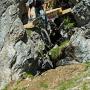  // Chatel