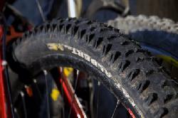 Schwalbe Fat Albert