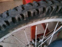 Maxxis High Roller DH